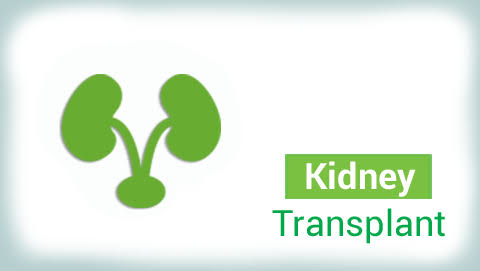 Best Kidney Transplant in India